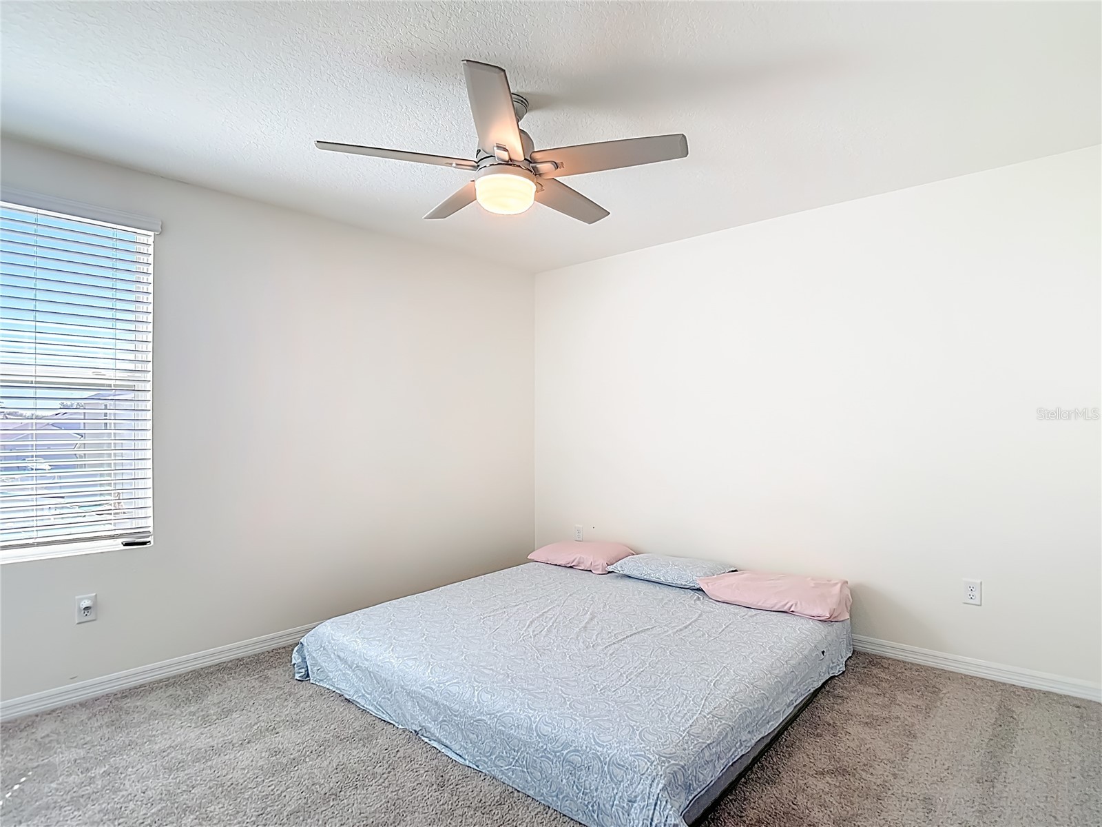 35668 Doveland Drive Zephyrhills FL 33541 TB8479892 image35