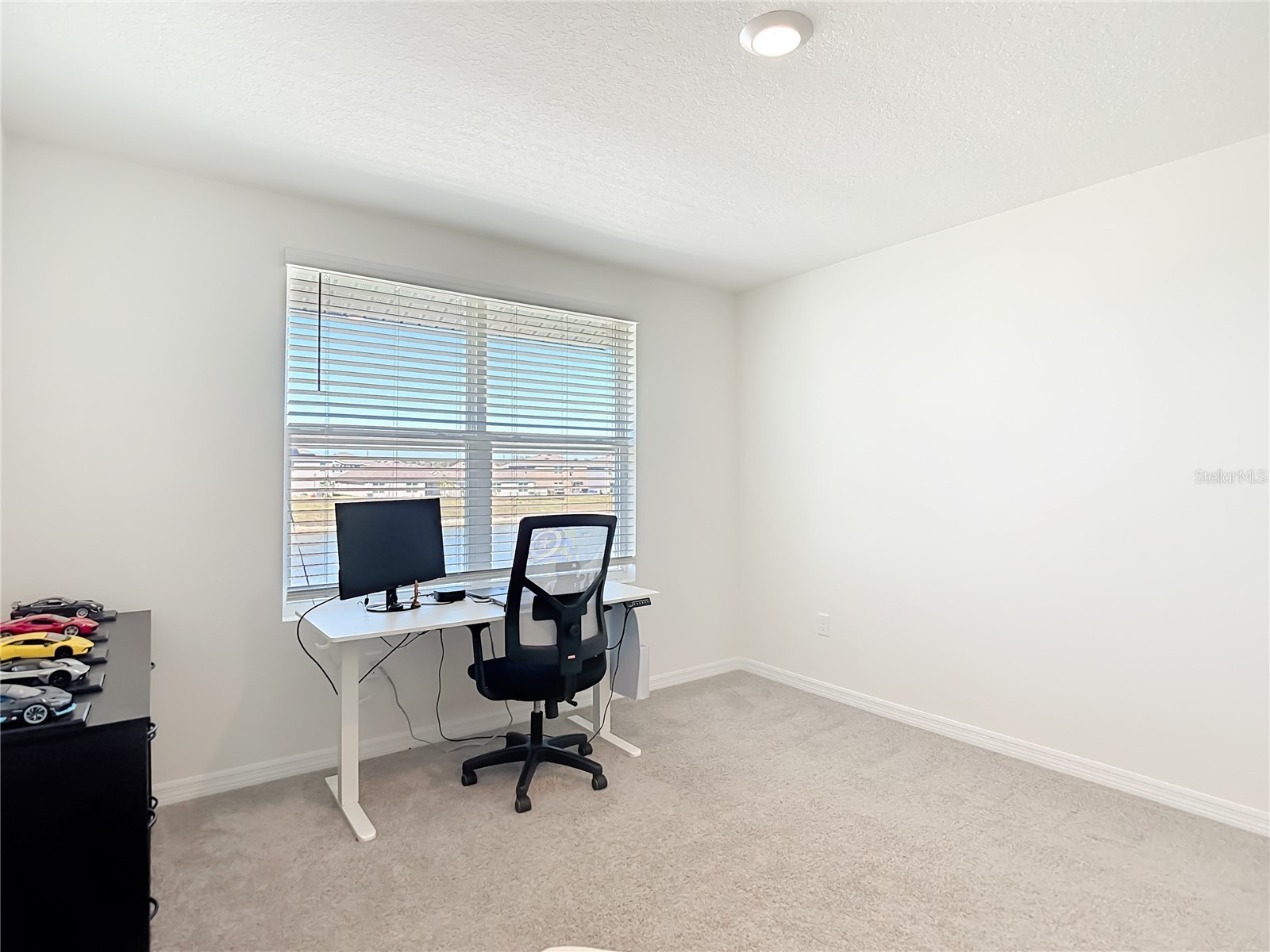 35668 Doveland Drive Zephyrhills FL 33541 TB8479892 image39