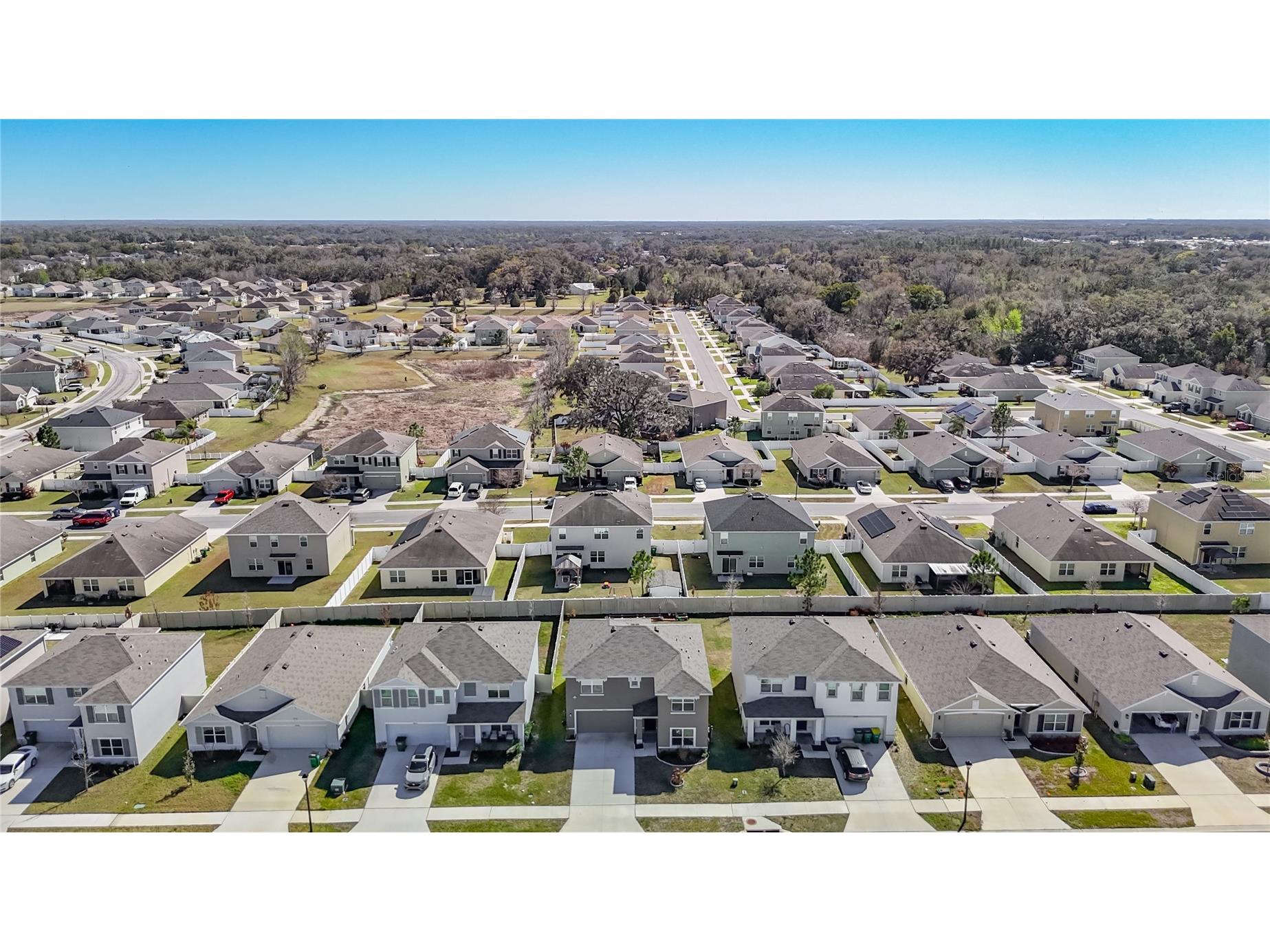 35668 Doveland Drive Zephyrhills FL 33541 TB8479892 image50