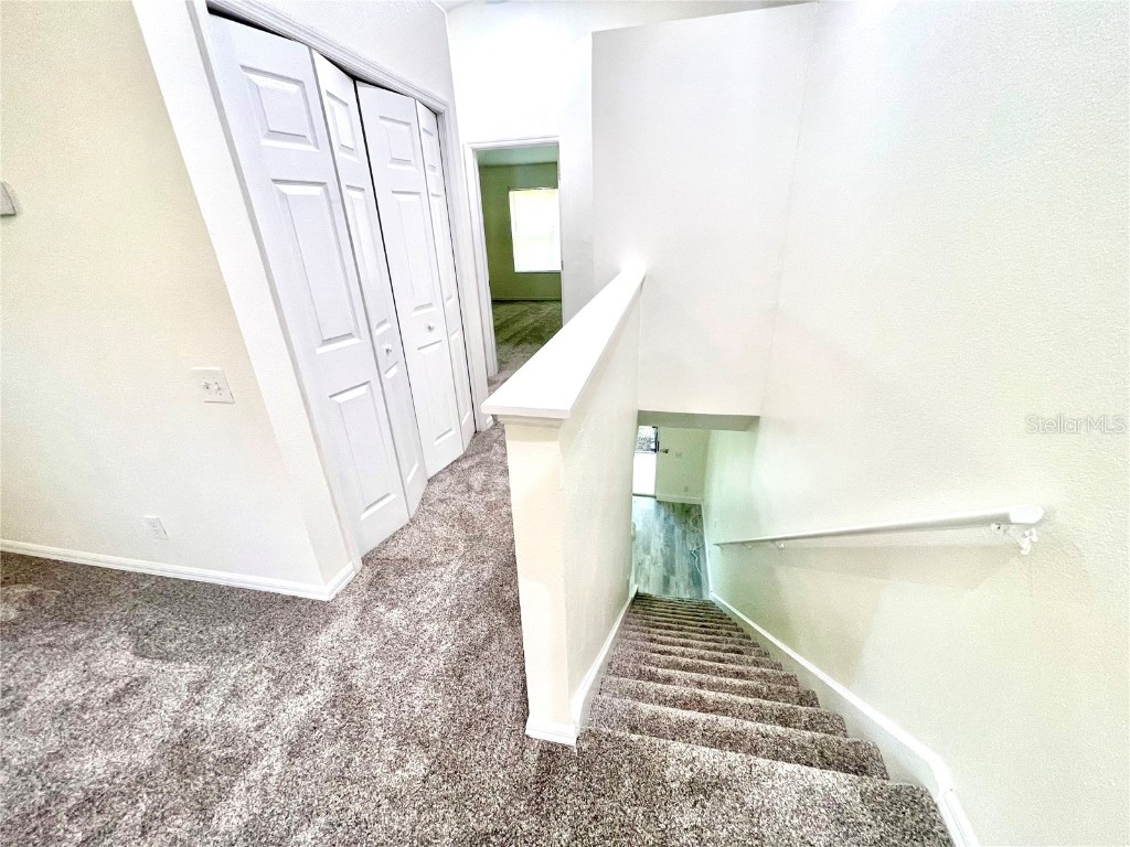 3567 Country Pointe Place Palm Harbor FL 34684 W7877390 image17