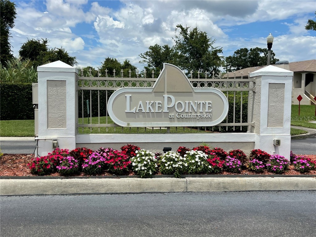 3567 Country Pointe Place Palm Harbor FL 34684 W7877390 image2
