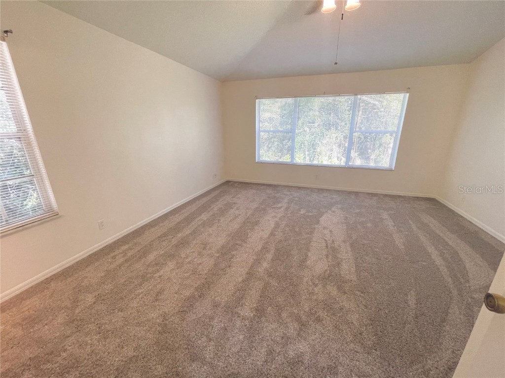 3567 Country Pointe Place Palm Harbor FL 34684 W7877390 image27