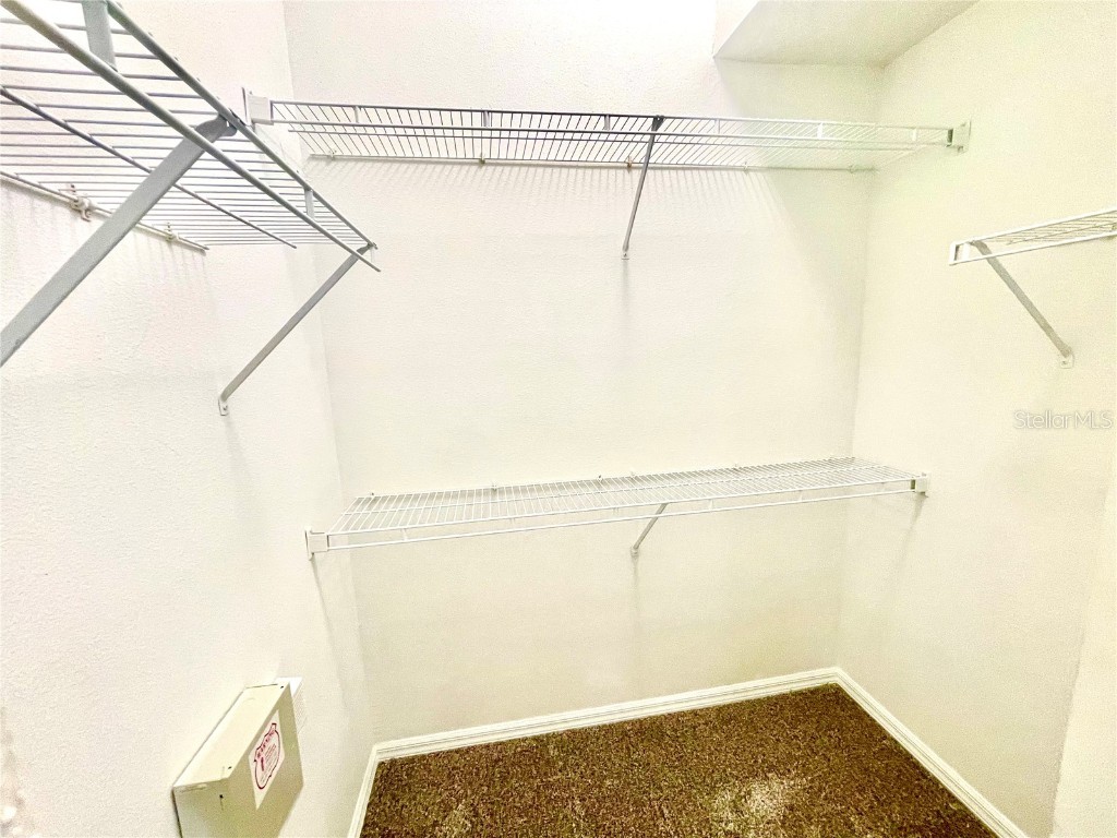 3567 Country Pointe Place Palm Harbor FL 34684 W7877390 image29