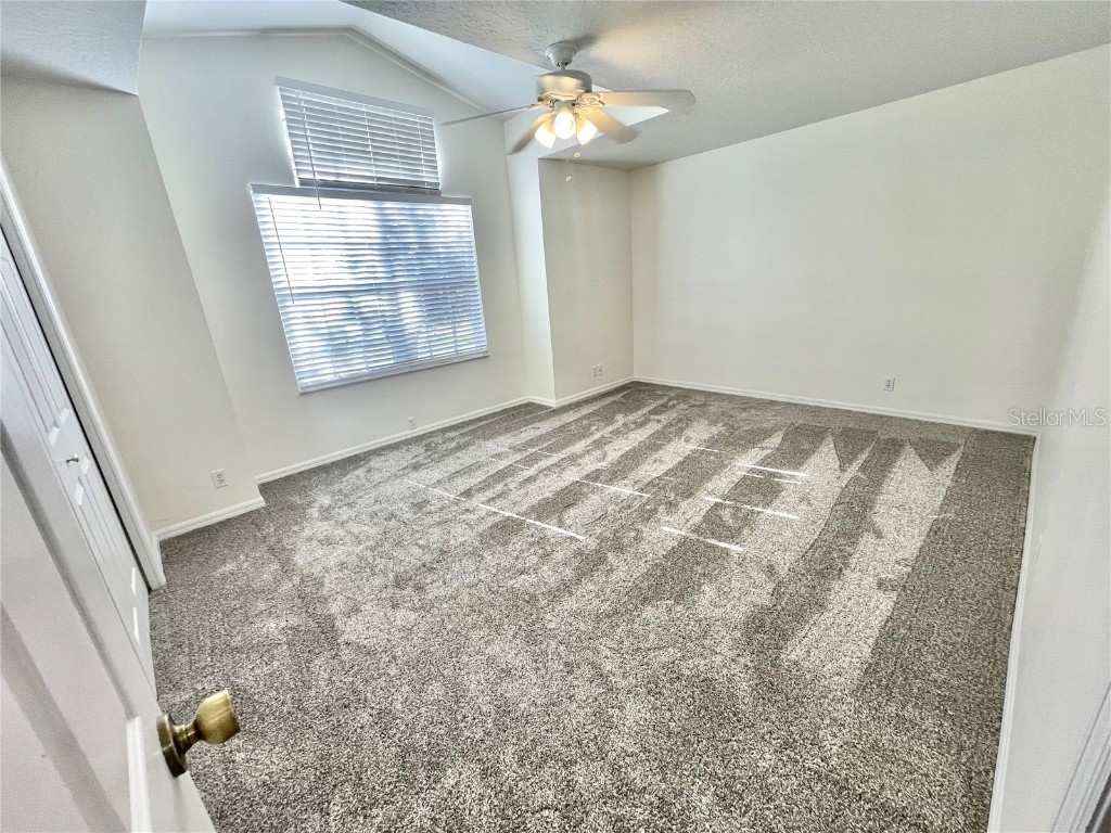 3567 Country Pointe Place Palm Harbor FL 34684 W7877390 image33