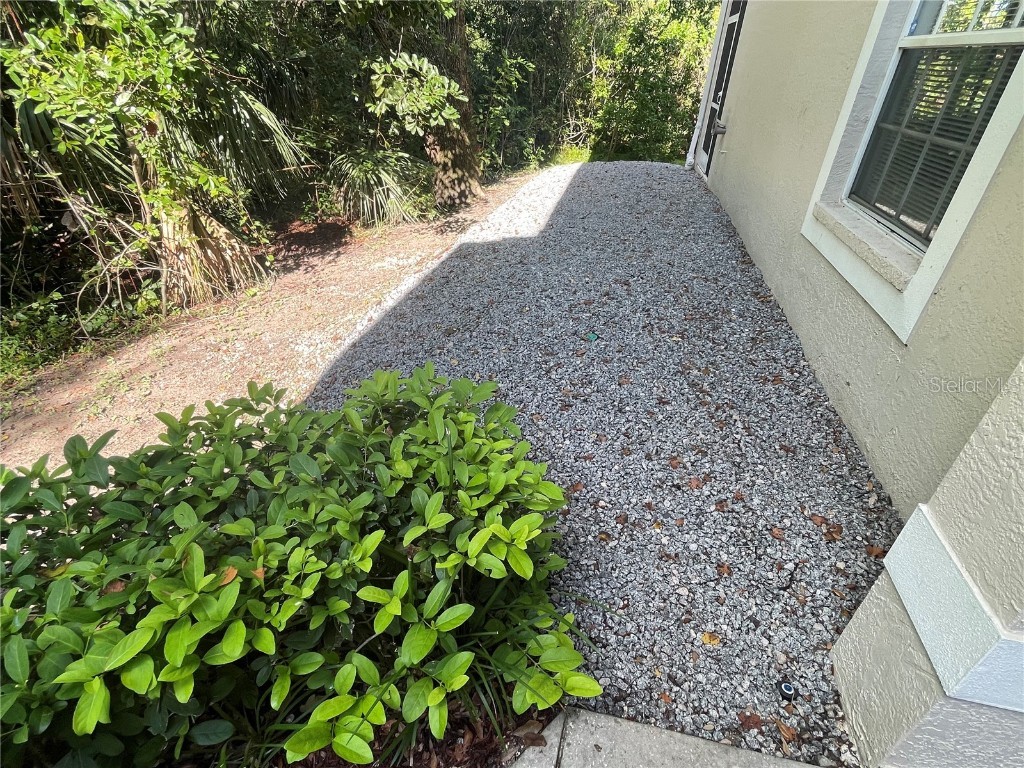 3567 Country Pointe Place Palm Harbor FL 34684 W7877390 image38