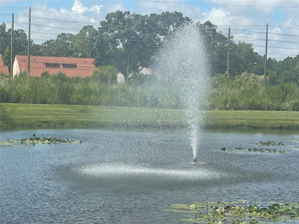 3567 Country Pointe Place Palm Harbor FL 34684 W7877390 image49