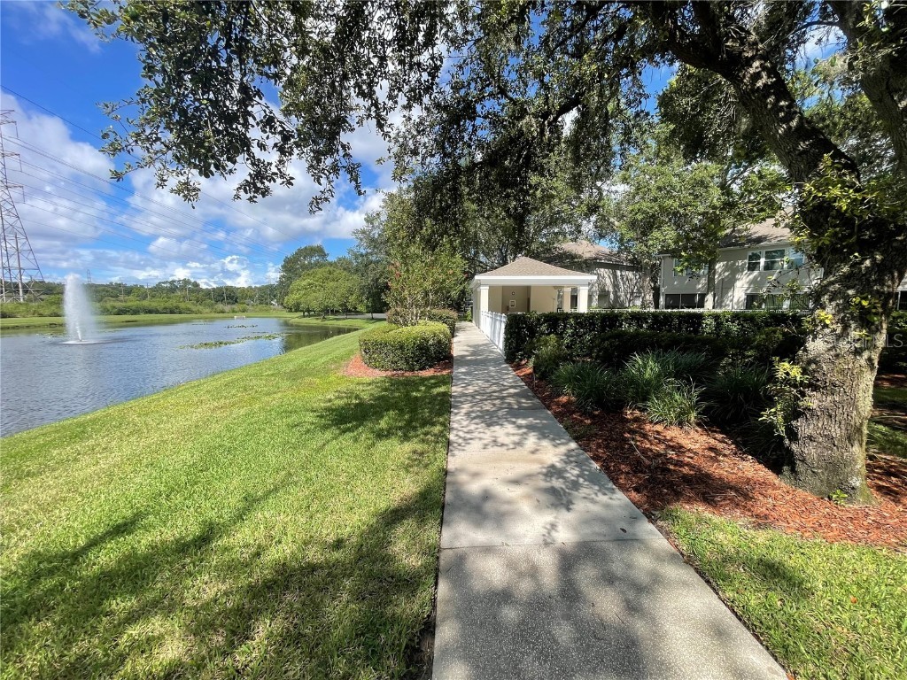 3567 Country Pointe Place Palm Harbor FL 34684 W7877390 image50