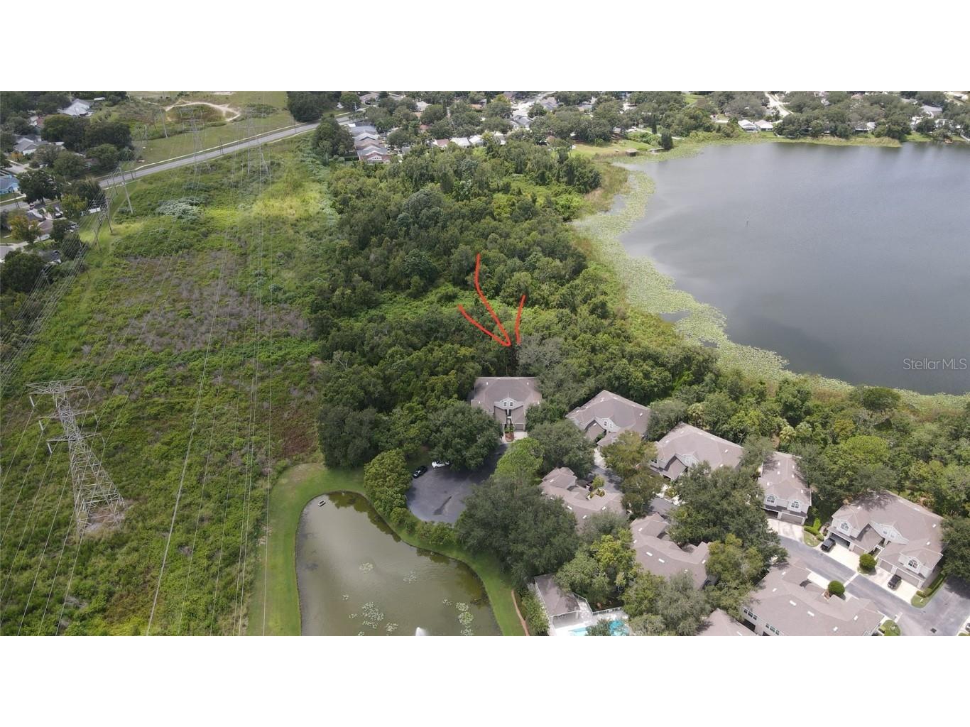 3567 Country Pointe Place Palm Harbor FL 34684 W7877390 image53