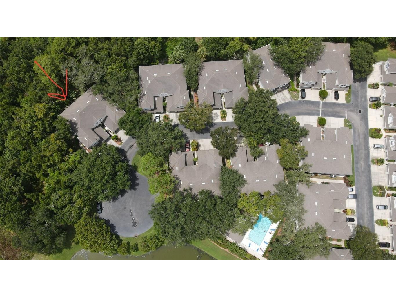 3567 Country Pointe Place Palm Harbor FL 34684 W7877390 image54