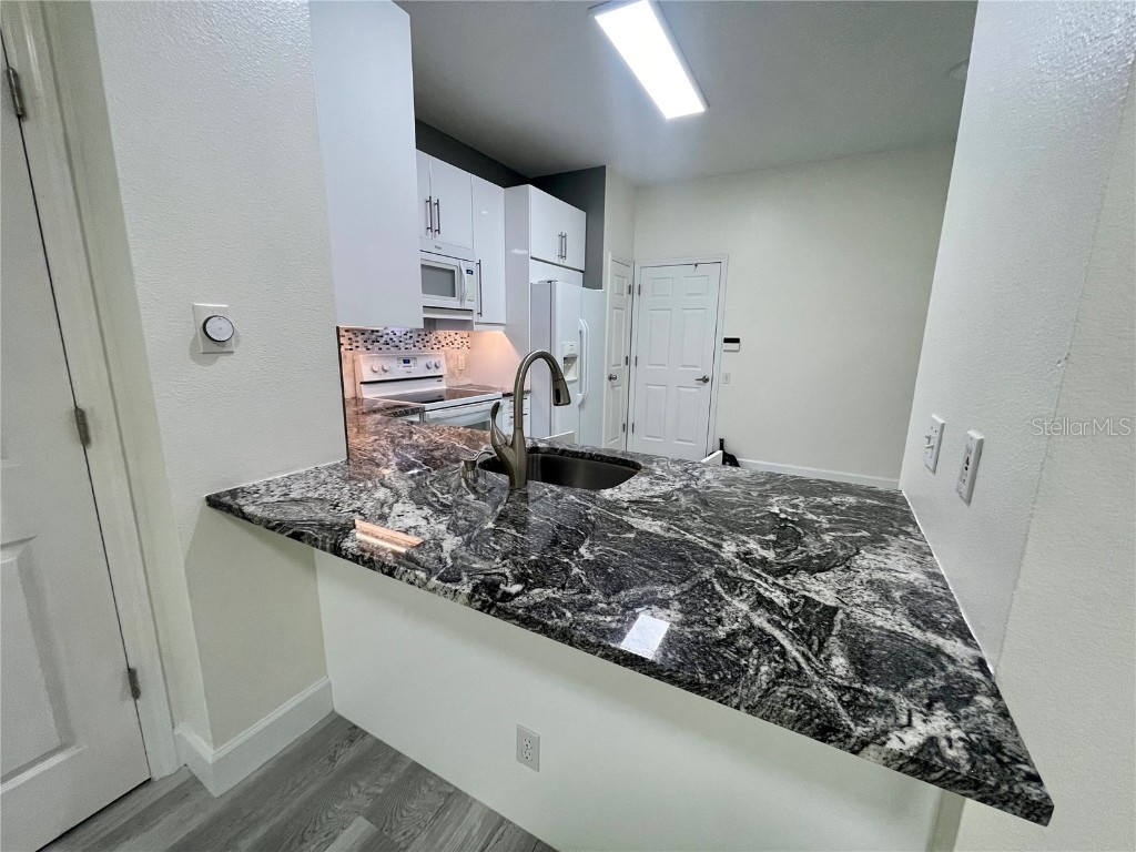 3567 Country Pointe Place Palm Harbor FL 34684 W7877390 image8