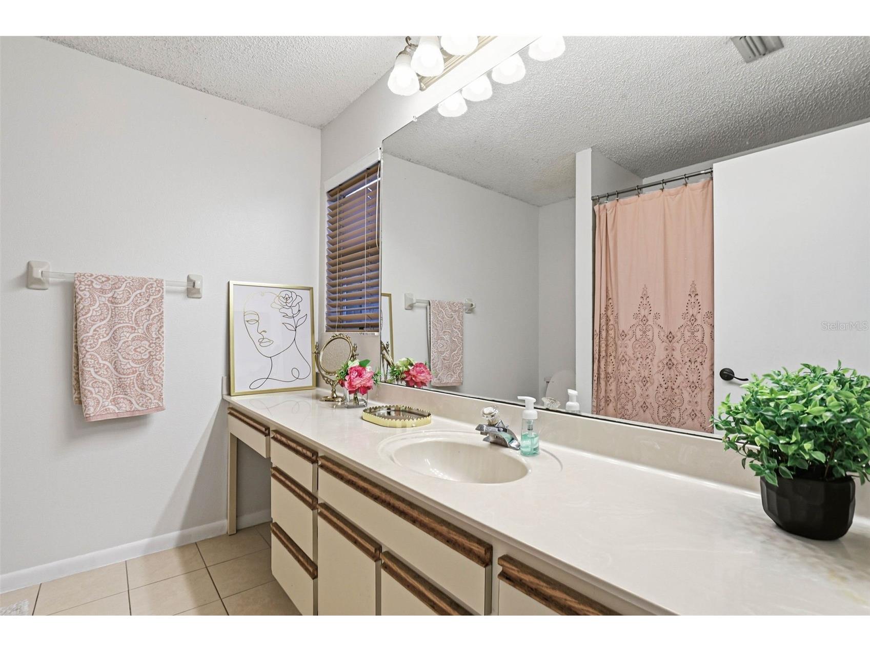 3567 Deer Run S Palm Harbor FL 34684 TB8476877 image12