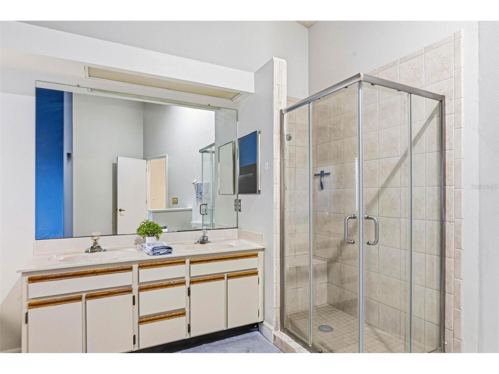 3567 Deer Run S Palm Harbor FL 34684 TB8476877 image25