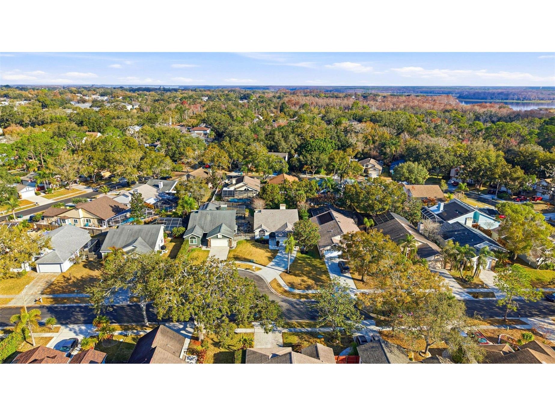 3567 Deer Run S Palm Harbor FL 34684 TB8476877 image32