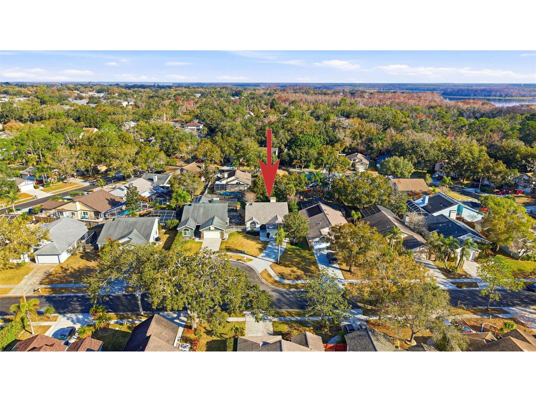 3567 Deer Run S Palm Harbor FL 34684 TB8476877 image35
