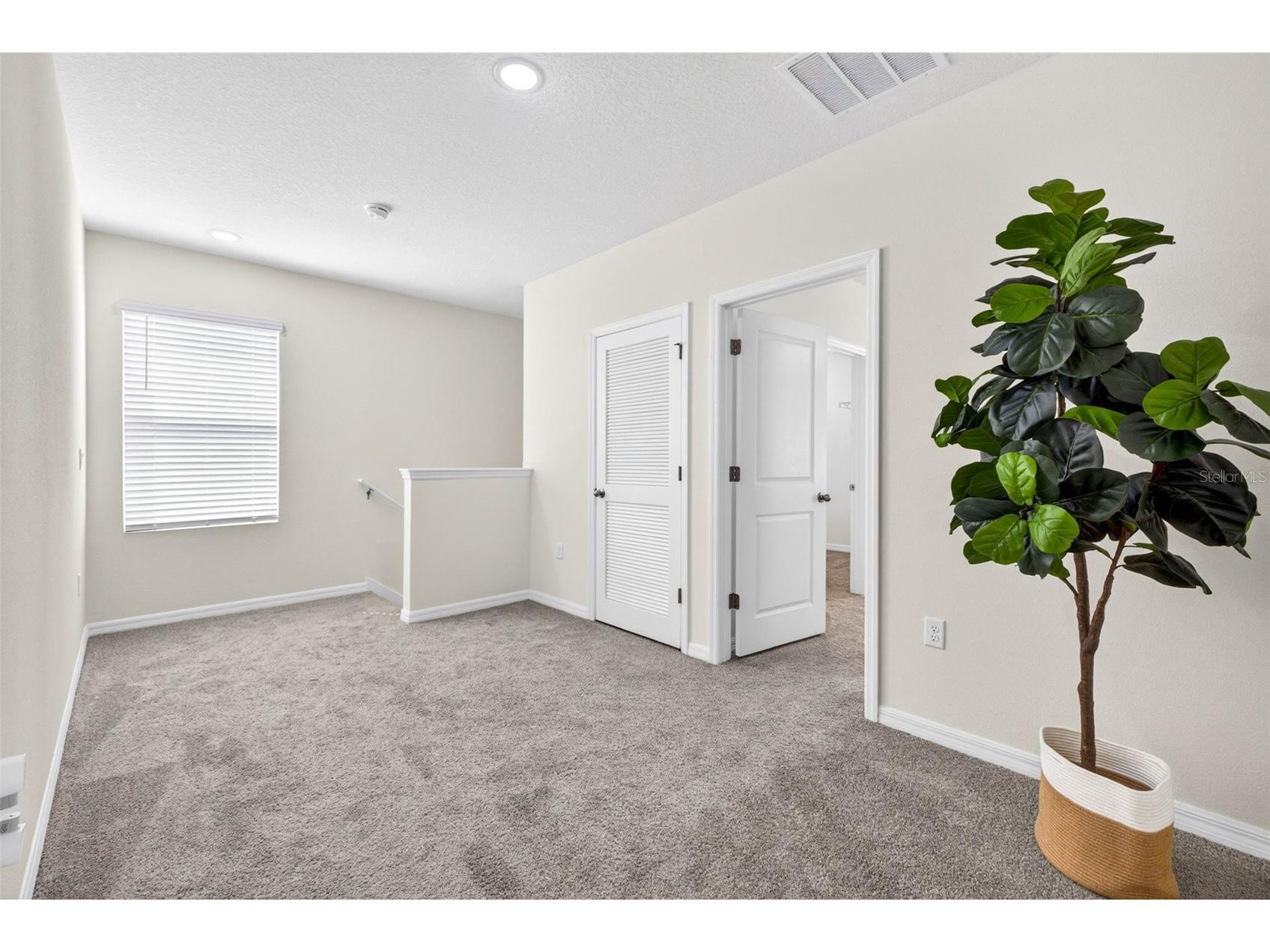 35686 Sunflower Hill Drive Zephyrhills FL 33541 TB8502963 image21