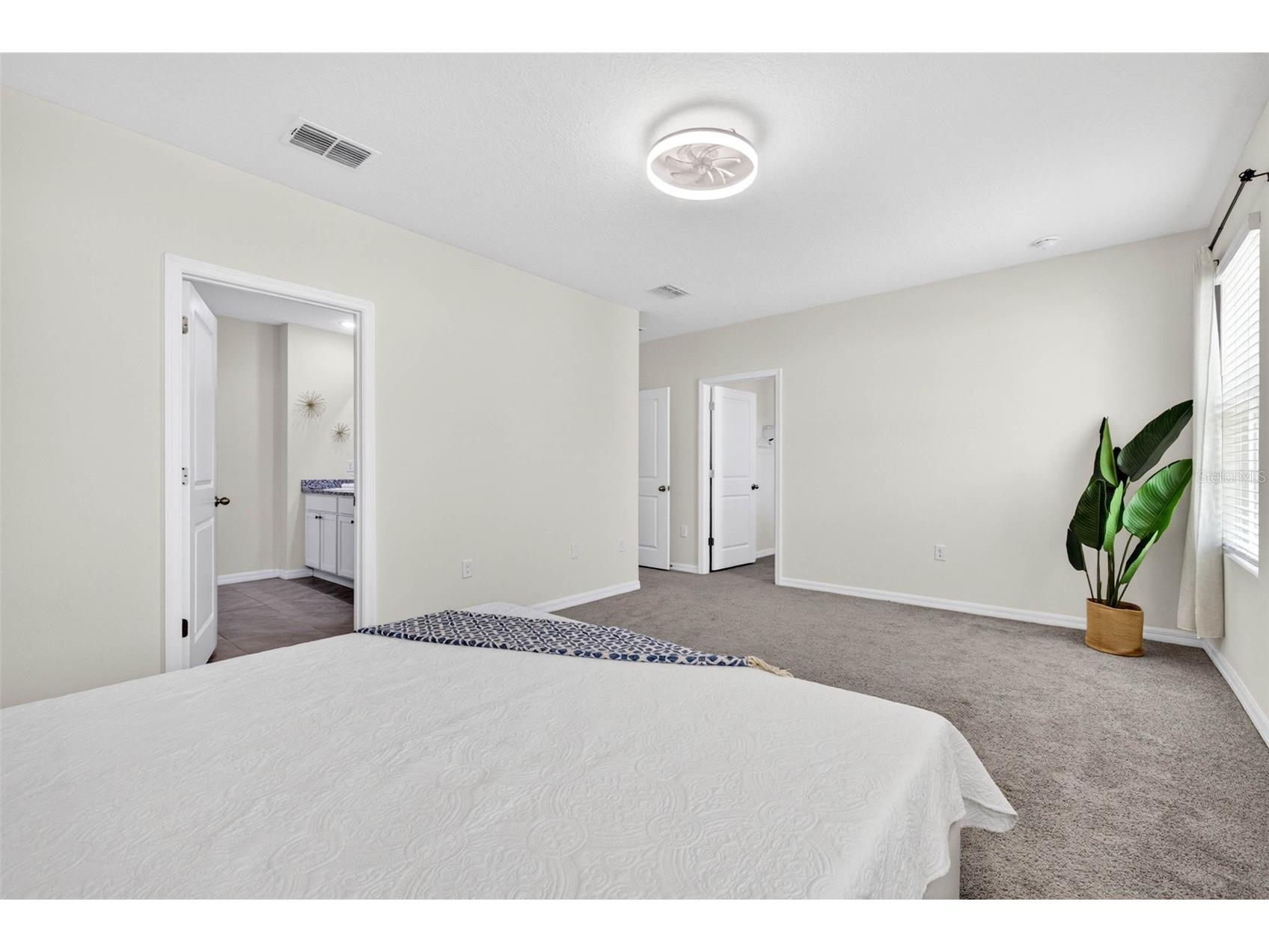 35686 Sunflower Hill Drive Zephyrhills FL 33541 TB8502963 image24