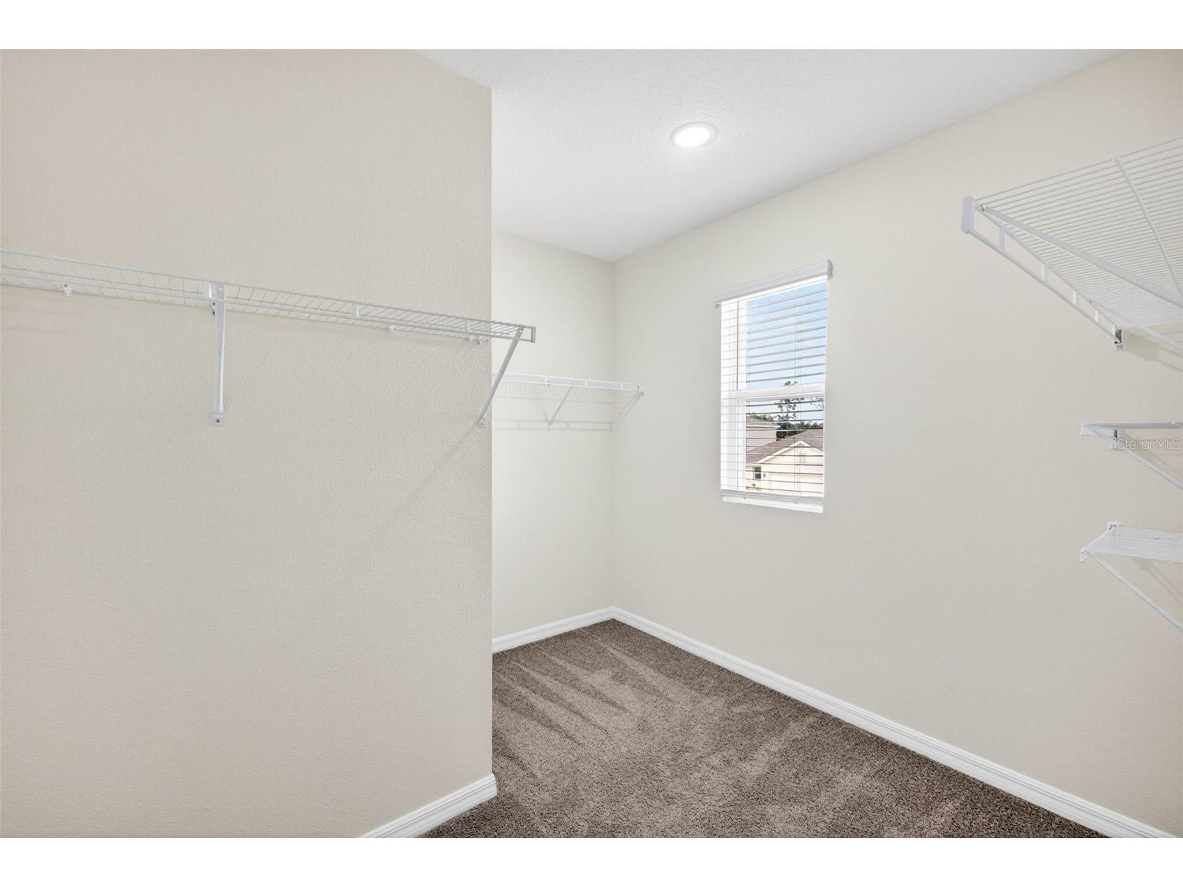 35686 Sunflower Hill Drive Zephyrhills FL 33541 TB8502963 image29