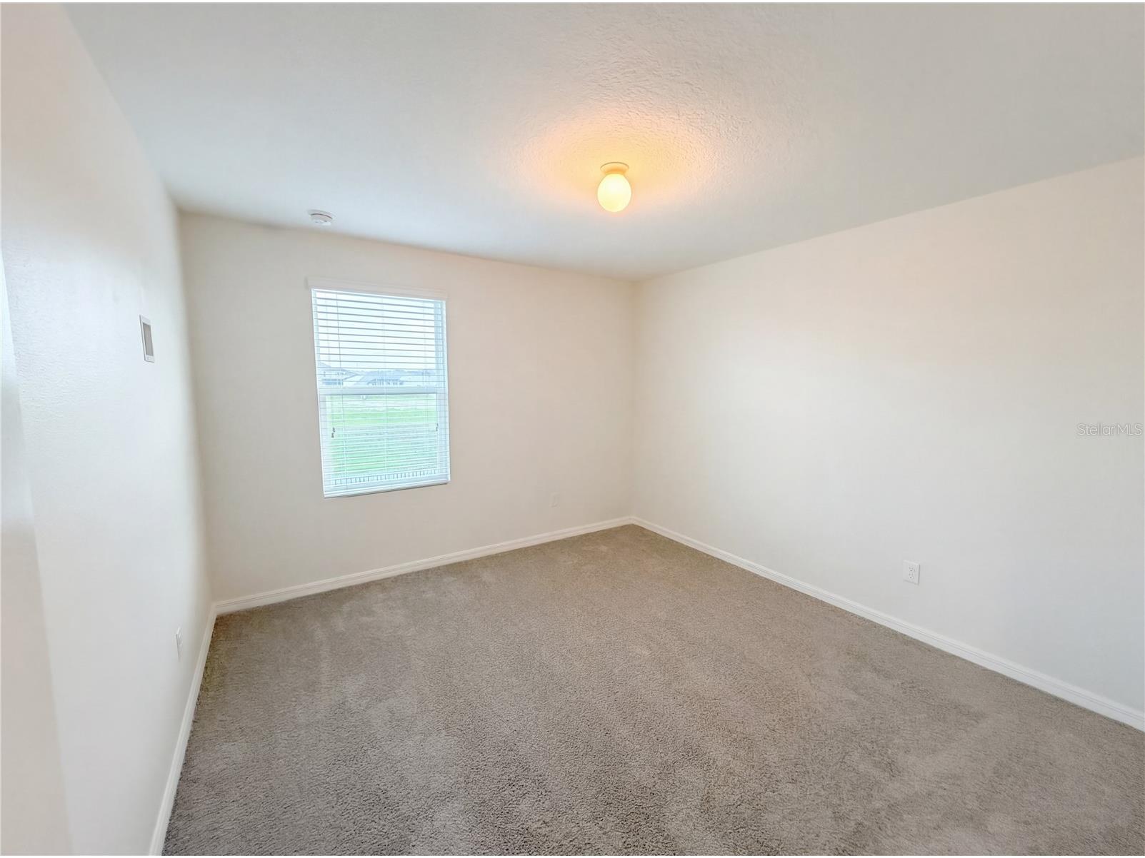 35687 Hillbrook Avenue Zephyrhills FL 33541 O6398474 image19