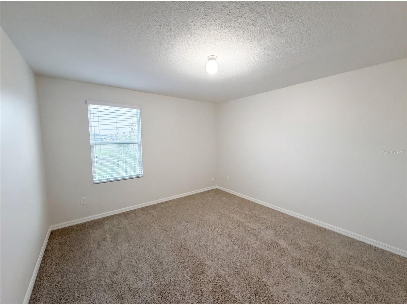 35687 Hillbrook Avenue Zephyrhills FL 33541 O6398474 image21
