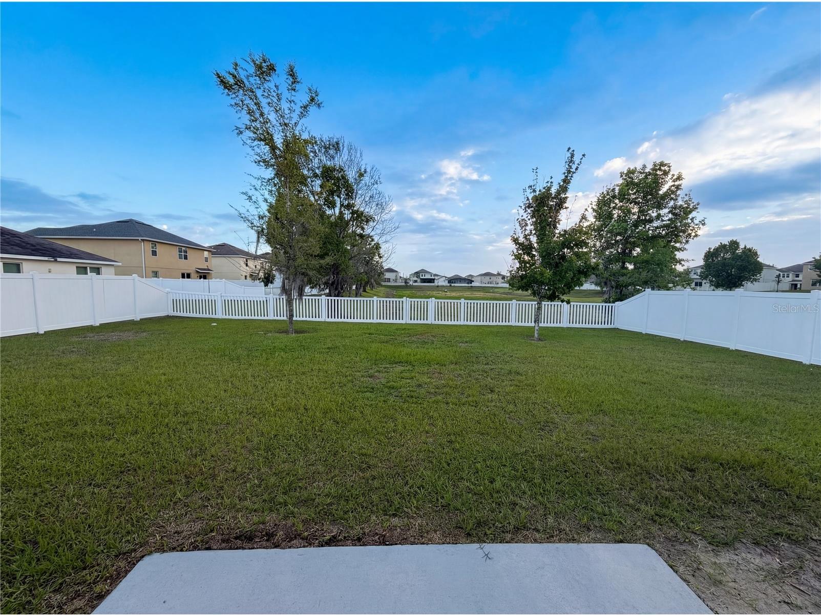 35687 Hillbrook Avenue Zephyrhills FL 33541 O6398474 image32