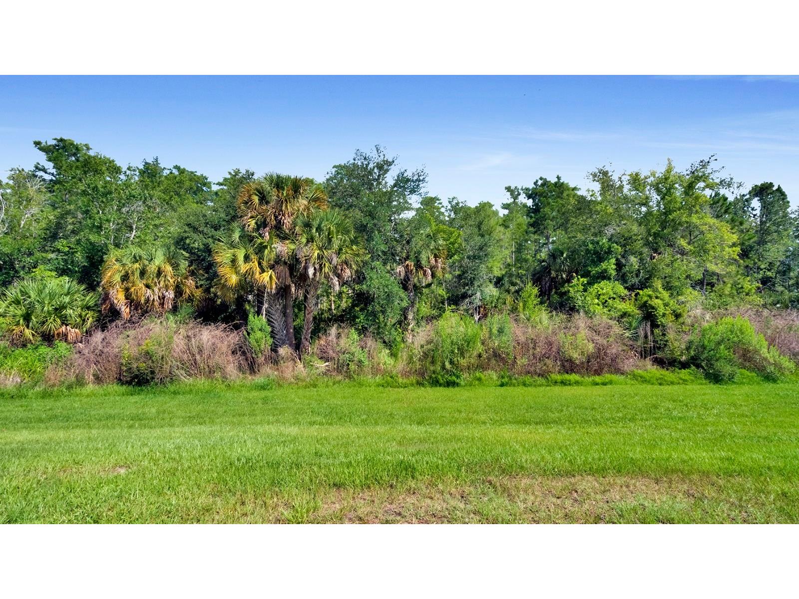 3569 Mayfair Street Kissimmee FL 34758 O6418764 image7