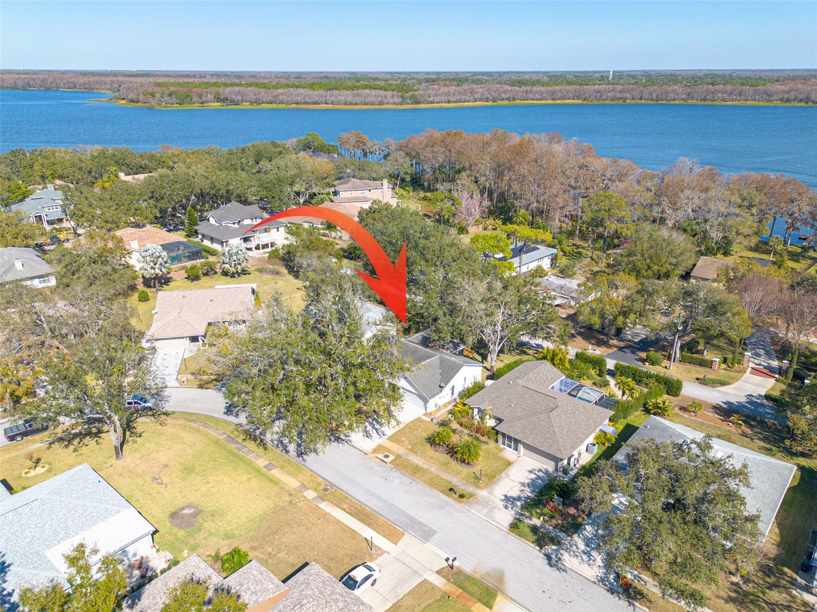 3569 Oak Lake Drive Palm Harbor FL 34684 TB8472815 image2