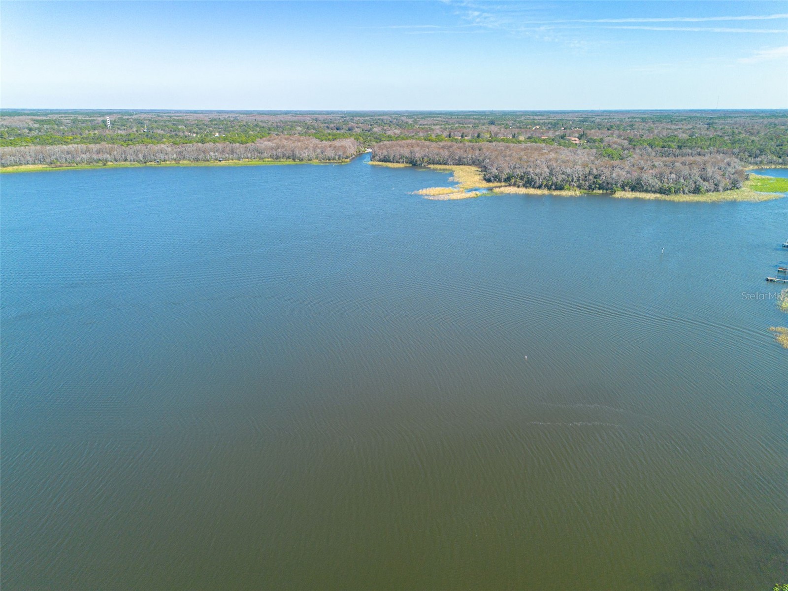 3569 Oak Lake Drive Palm Harbor FL 34684 TB8472815 image41
