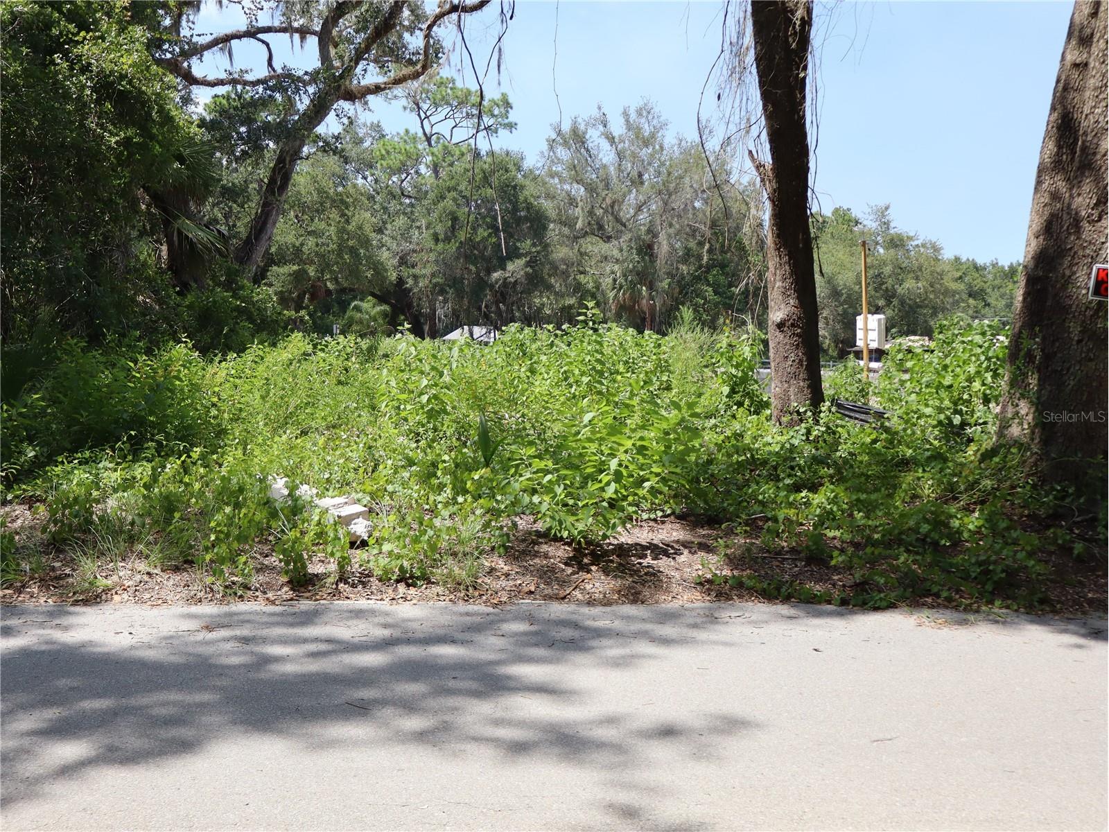 3569 Southwood Boulevard Kissimmee FL 34746 S5154053 image1