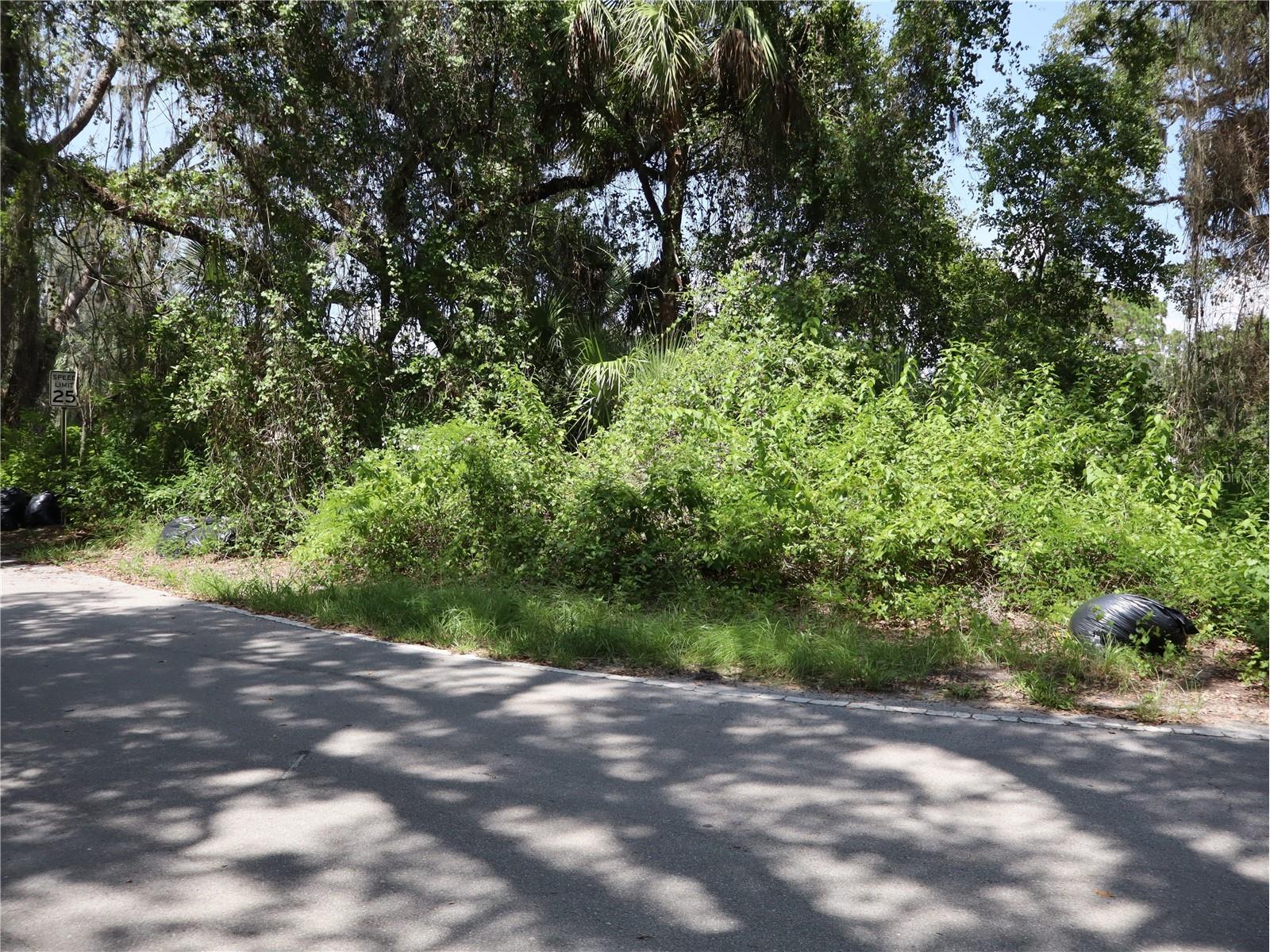 3569 Southwood Boulevard Kissimmee FL 34746 S5154053 image10