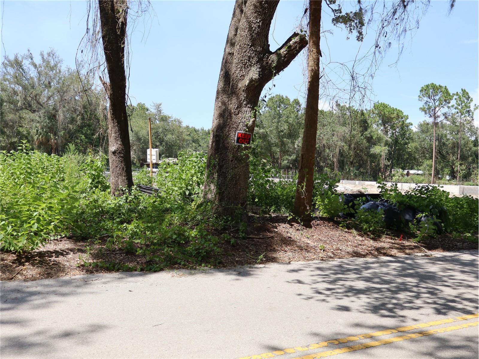 3569 Southwood Boulevard Kissimmee FL 34746 S5154053 image2
