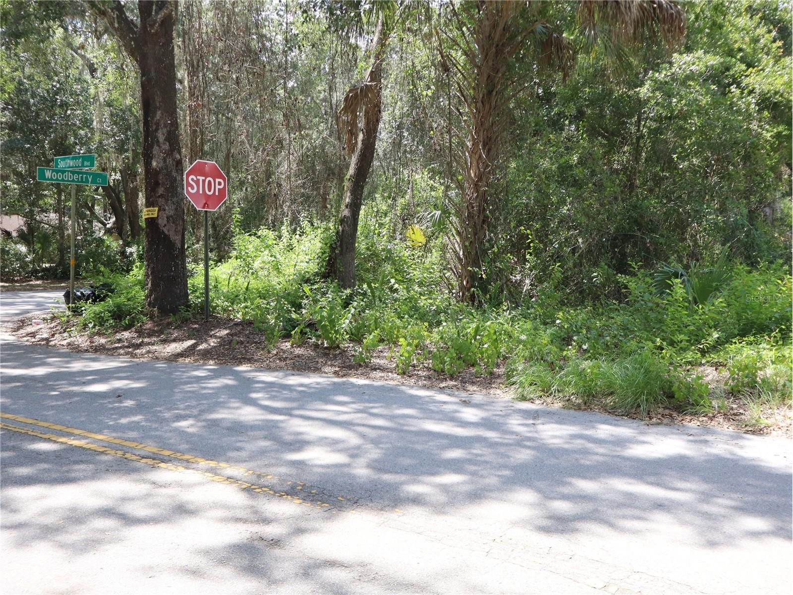 3569 Southwood Boulevard Kissimmee FL 34746 S5154053 image3