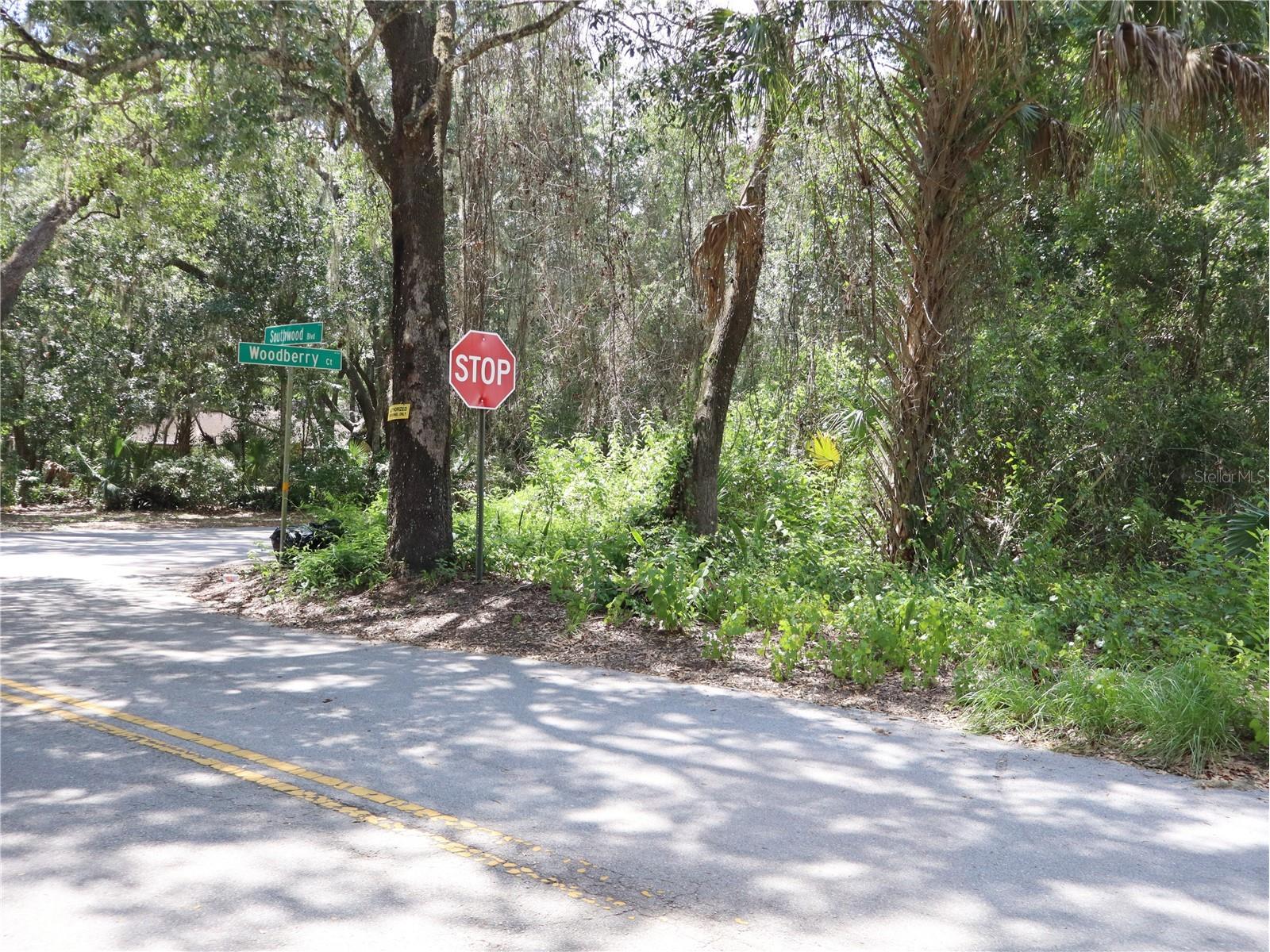 3569 Southwood Boulevard Kissimmee FL 34746 S5154053 image4