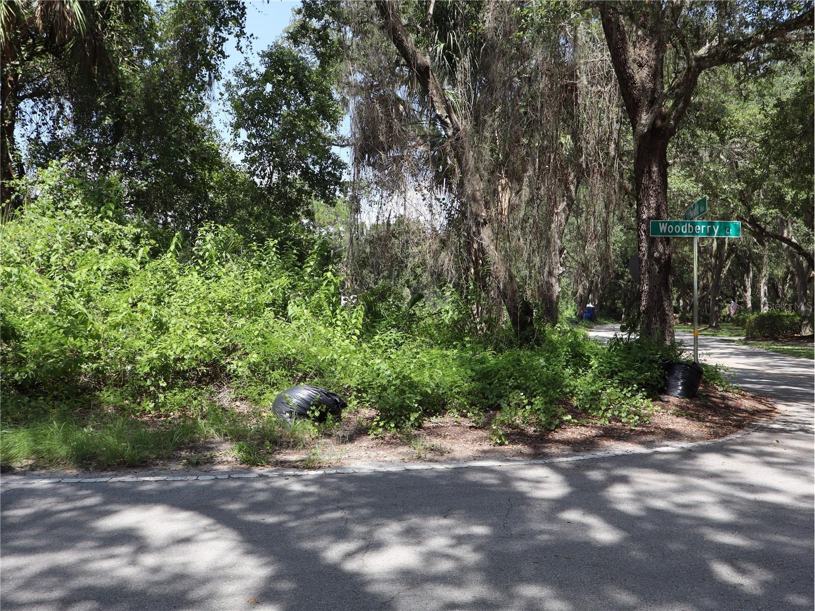 3569 Southwood Boulevard Kissimmee FL 34746 S5154053 image9