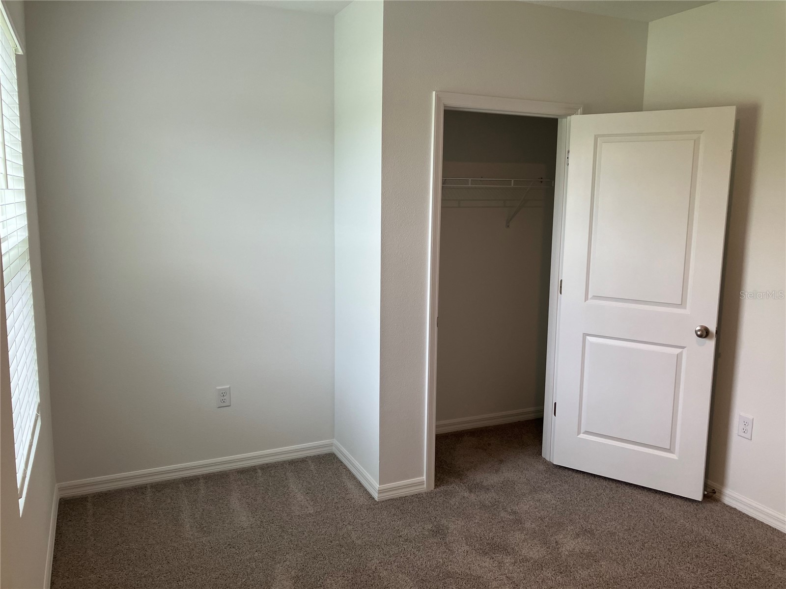 35694 Kinsey Point Zephyrhills FL 33541 TB8512365 image12