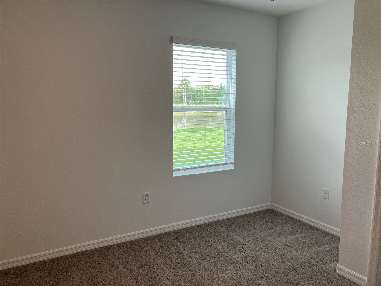 35694 Kinsey Point Zephyrhills FL 33541 TB8512365 image14