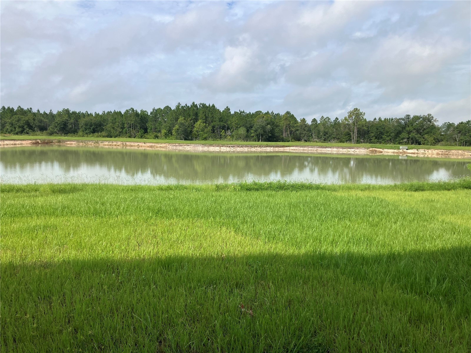 35694 Kinsey Point Zephyrhills FL 33541 TB8512365 image18