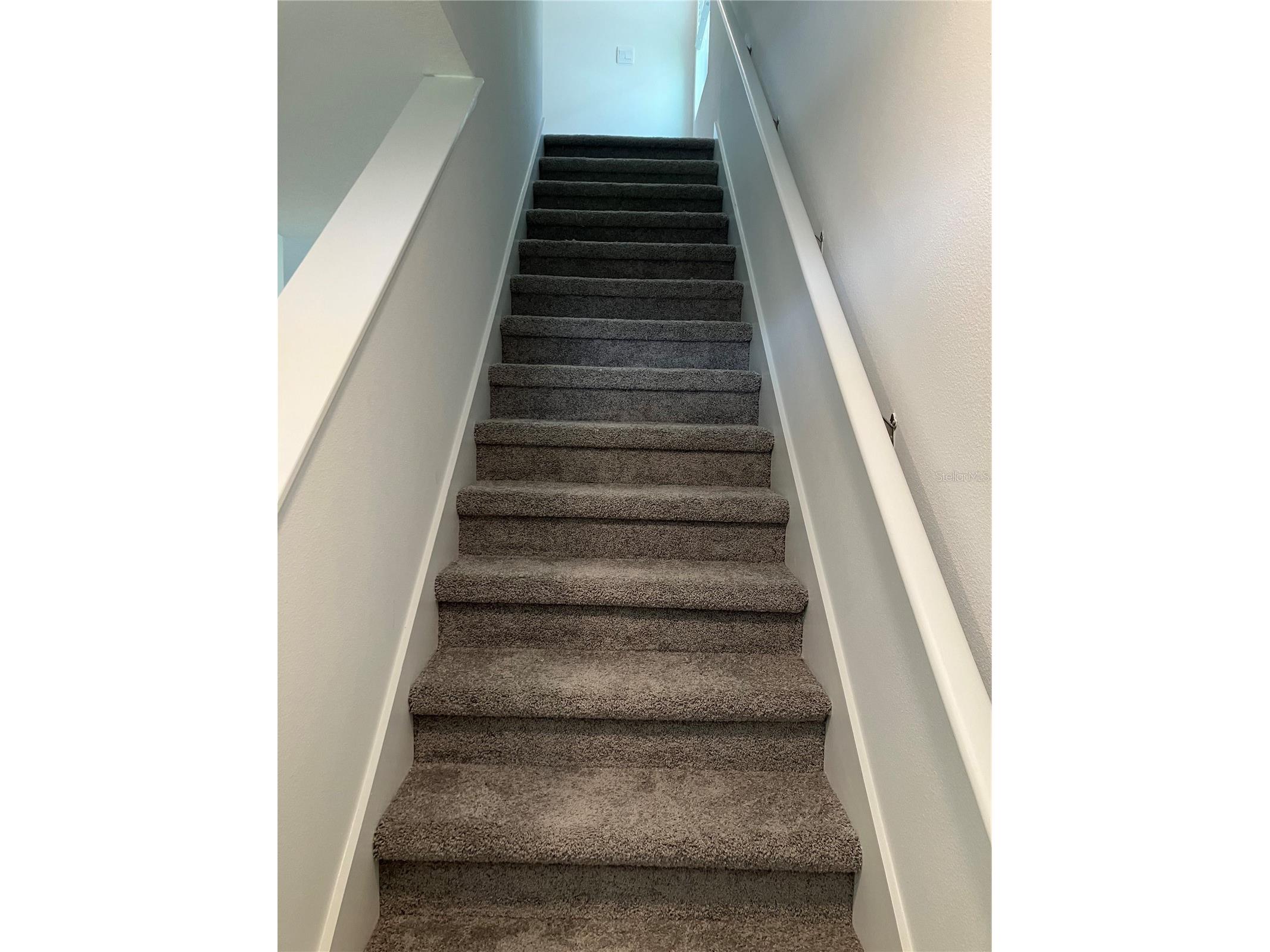 35694 Kinsey Point Zephyrhills FL 33541 TB8512365 image19