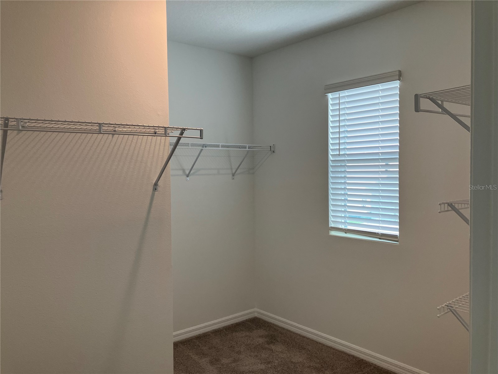 35694 Kinsey Point Zephyrhills FL 33541 TB8512365 image25
