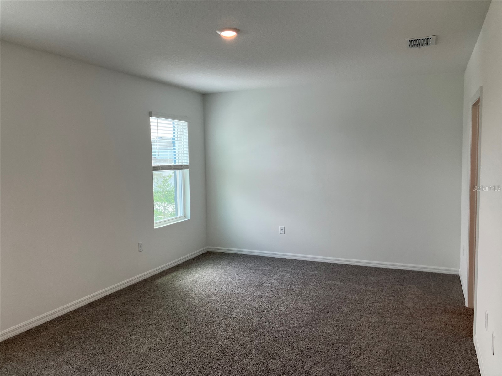 35694 Kinsey Point Zephyrhills FL 33541 TB8512365 image27