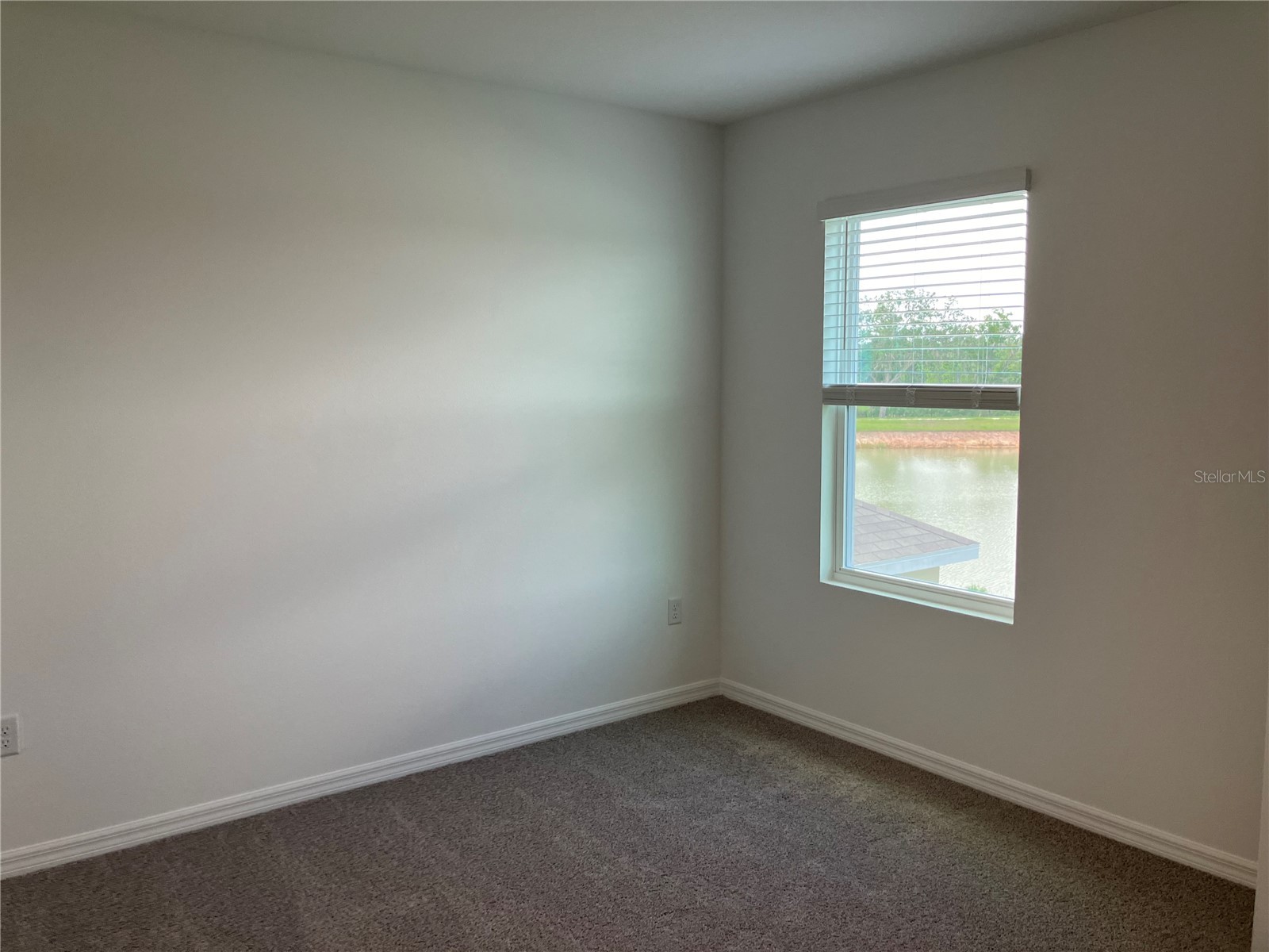 35694 Kinsey Point Zephyrhills FL 33541 TB8512365 image32