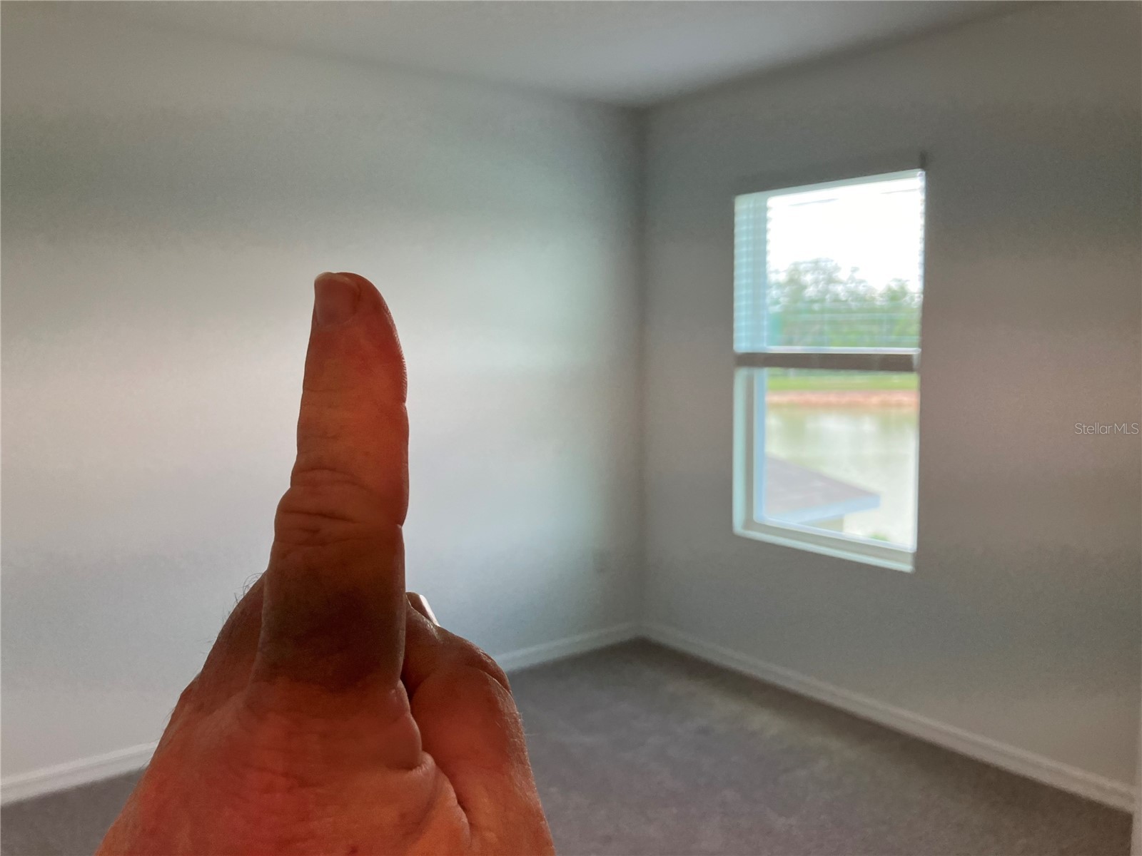 35694 Kinsey Point Zephyrhills FL 33541 TB8512365 image33