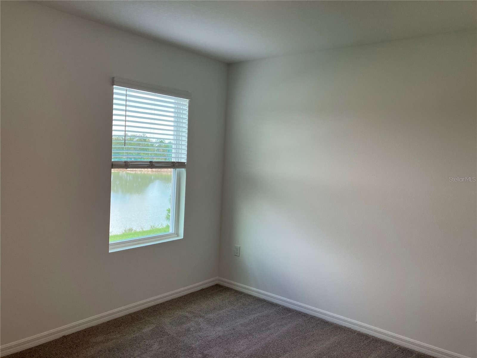 35694 Kinsey Point Zephyrhills FL 33541 TB8512365 image35