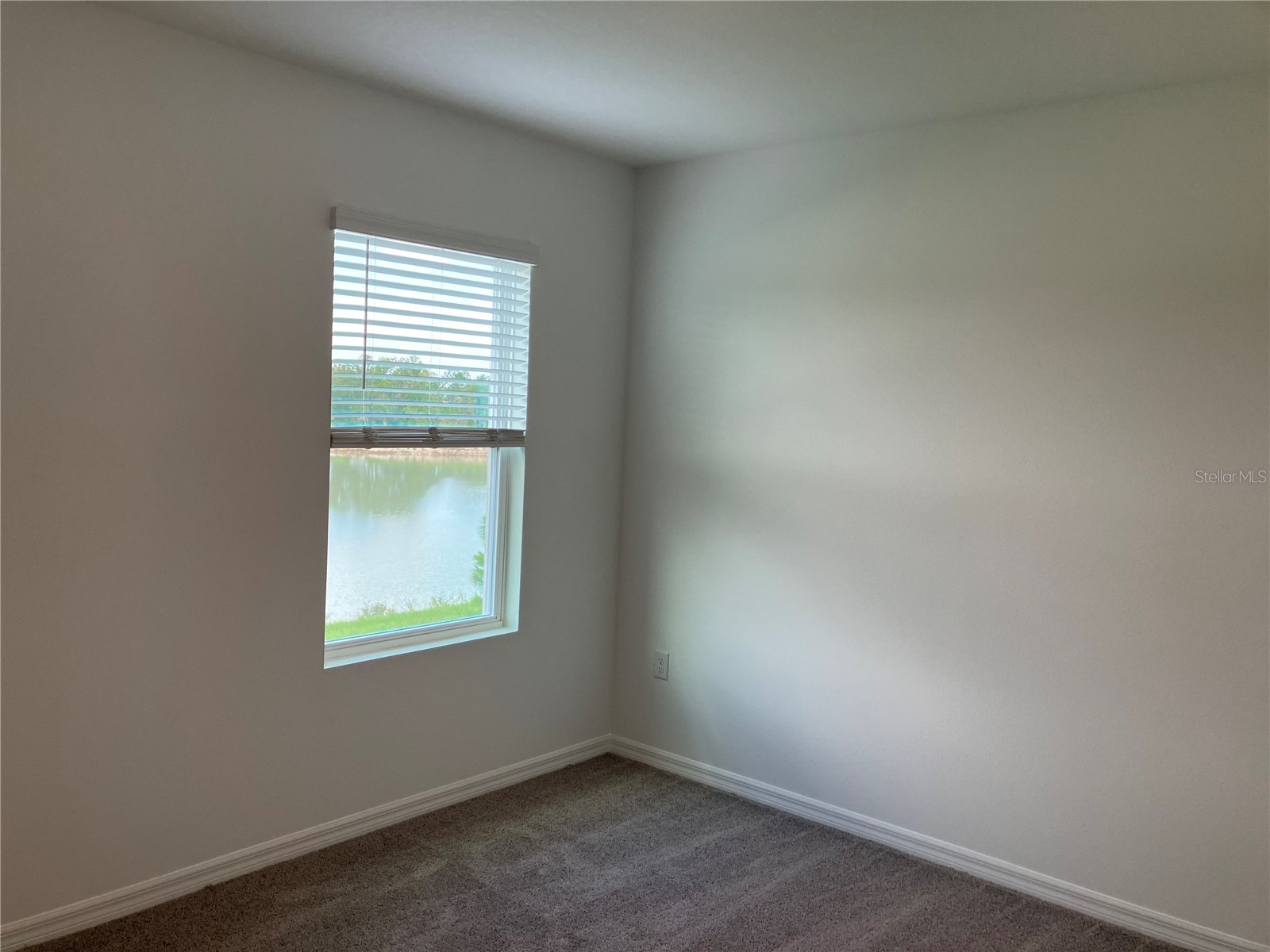 35694 Kinsey Point Zephyrhills FL 33541 TB8512365 image36