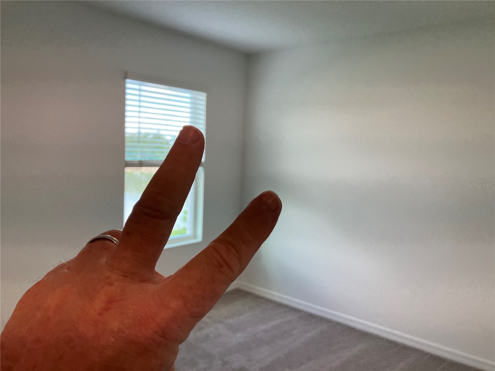 35694 Kinsey Point Zephyrhills FL 33541 TB8512365 image37