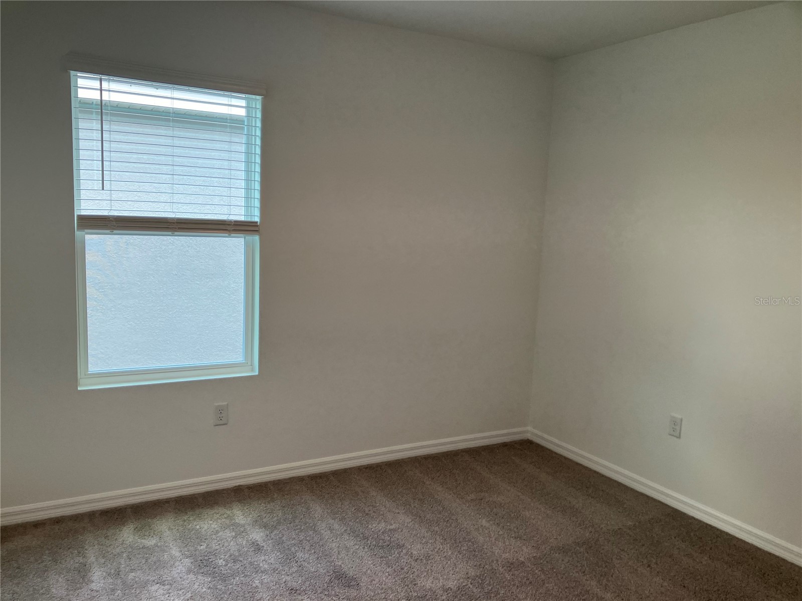 35694 Kinsey Point Zephyrhills FL 33541 TB8512365 image39