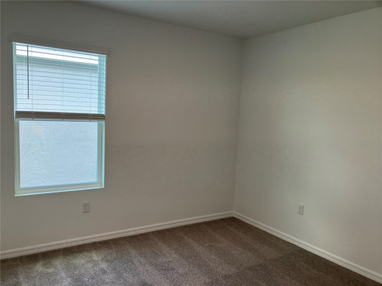 35694 Kinsey Point Zephyrhills FL 33541 TB8512365 image40