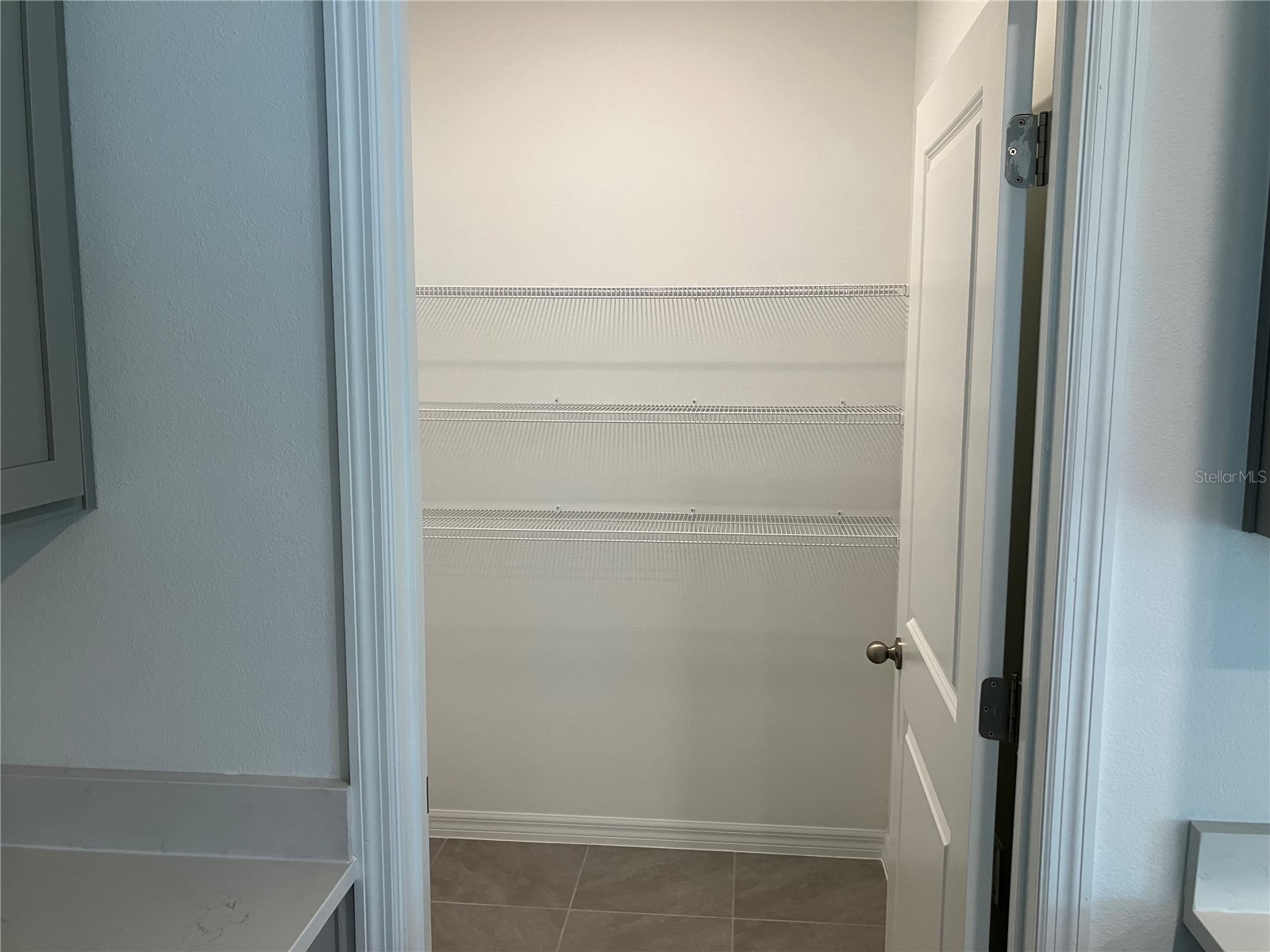 35694 Kinsey Point Zephyrhills FL 33541 TB8512365 image8