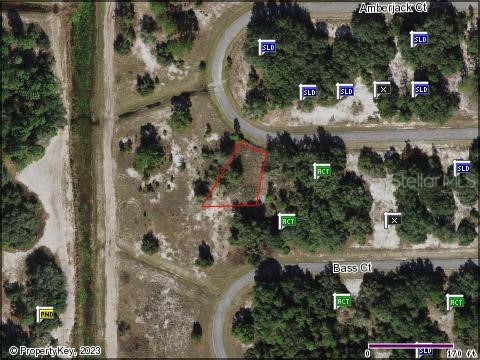 357 Amberjack Court Poinciana FL 34759 O6142883 image1