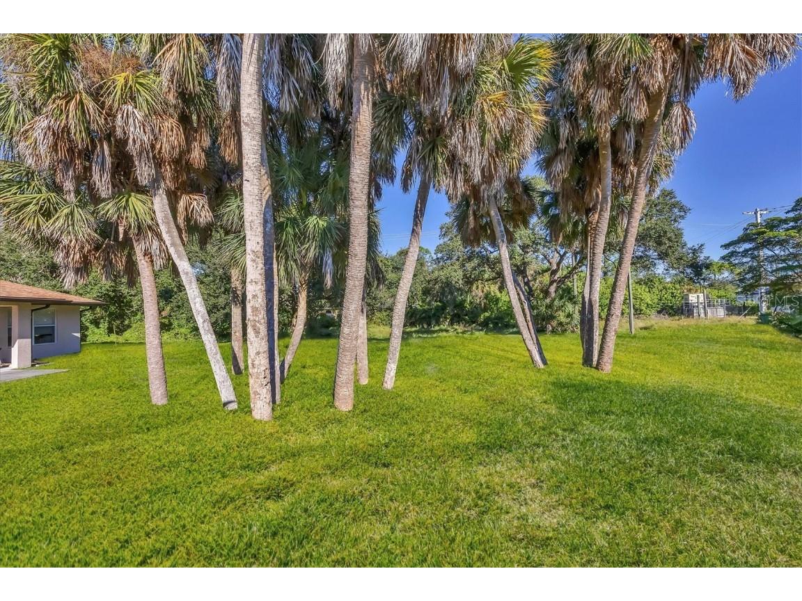 357 Boundary Boulevard Rotonda West FL 33947 N6140880 image51