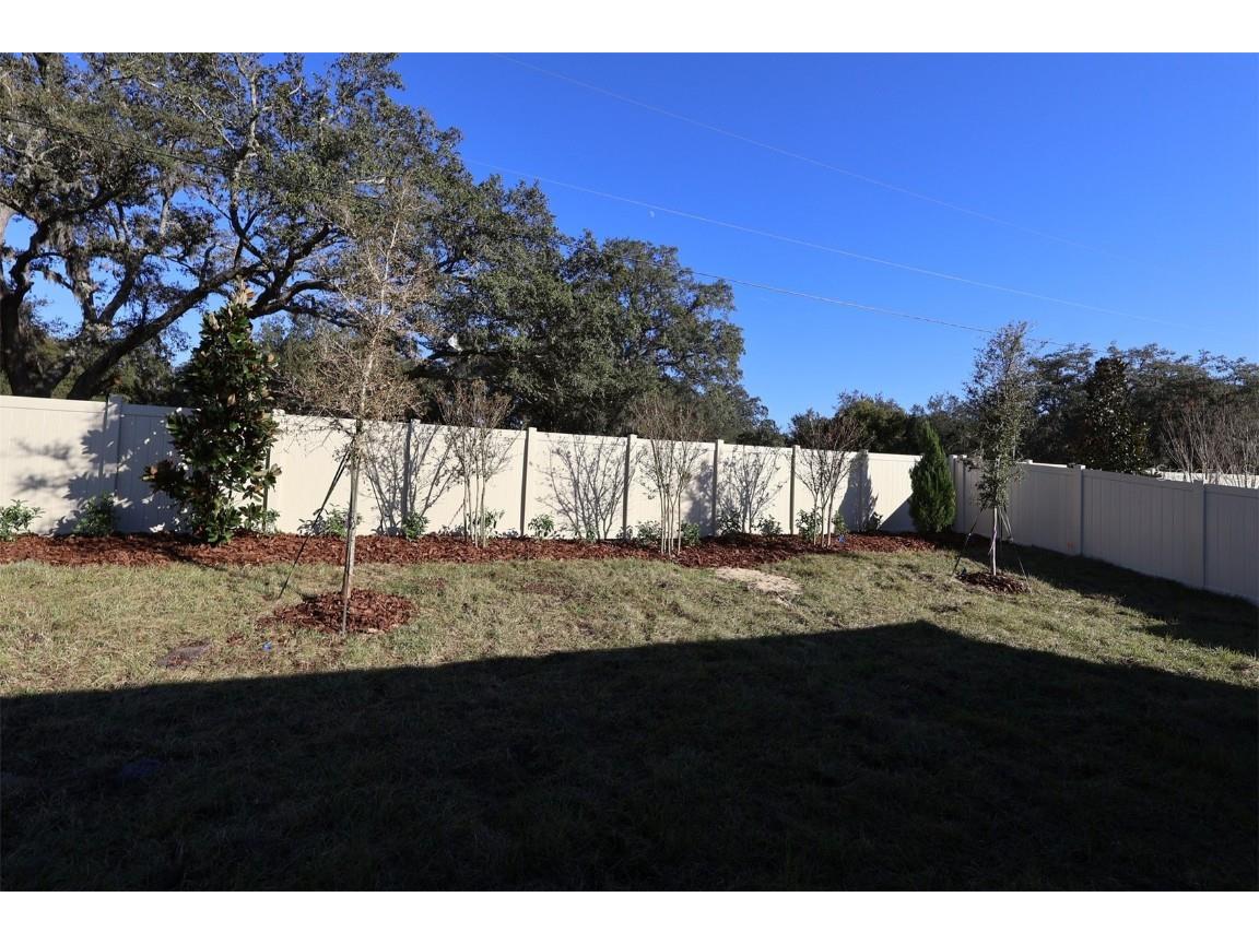 357 Lady Palm Street Apopka FL 32703 O6342533 image38